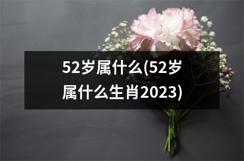 52岁属什么(52岁属什么生肖2023)