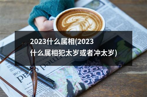 2023什么属相(2023什么属相犯太岁或者冲太岁)