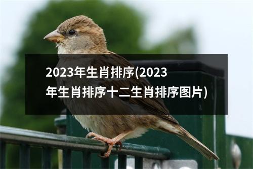 2023年生肖排序(2023年生肖排序十二生肖排序图片)