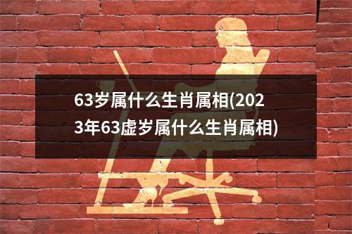 63岁属什么生肖属相(2023年63虚岁属什么生肖属相)