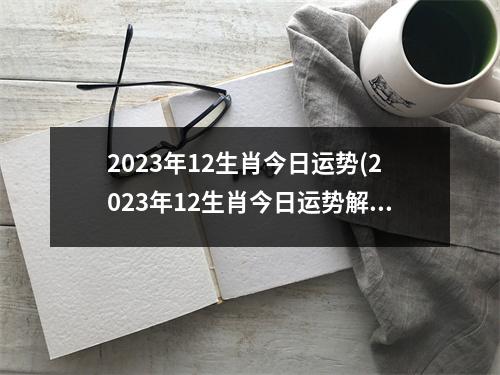 2023年12生肖今日运势(2023年12生肖今日运势解析完整版)