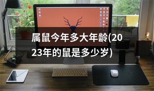 属鼠今年多大年龄(2023年的鼠是多少岁)