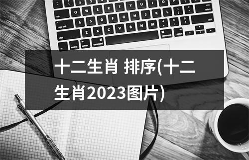 十二生肖 排序(十二生肖2023图片)