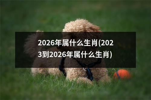 2026年属什么生肖(2023到2026年属什么生肖)