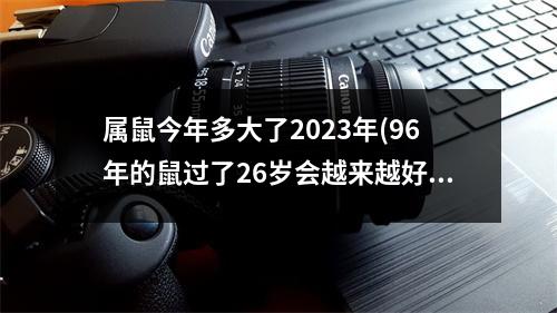 属鼠今年多大了2023年(96年的鼠过了26岁会越来越好)