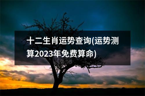 十二生肖运势查询(运势测算2023年免费算命)