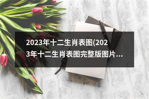 2023年十二生肖表图(2023年十二生肖表图完整版图片)