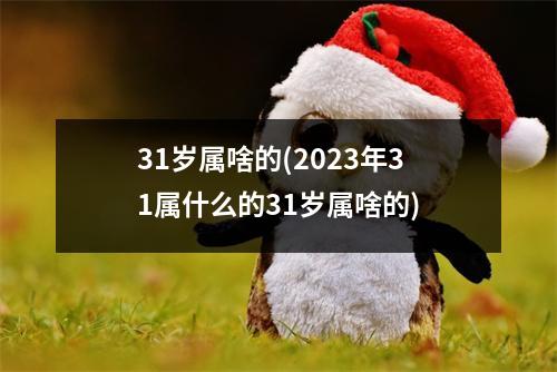 31岁属啥的(2023年31属什么的31岁属啥的)