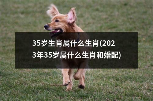 35岁生肖属什么生肖(2023年35岁属什么生肖和婚配)