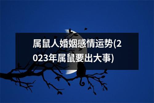 属鼠人婚姻感情运势(2023年属鼠要出大事)