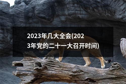 2023年几大全会(2023年党的二十一大召开时间)