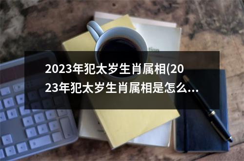 2023年犯太岁生肖属相(2023年犯太岁生肖属相是怎么确定的)