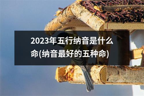 2023年五行纳音是什么命(纳音好的五种命)