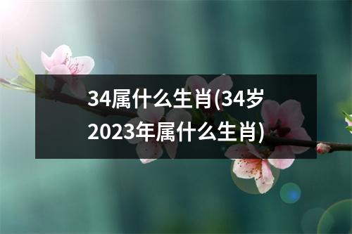 34属什么生肖(34岁2023年属什么生肖)