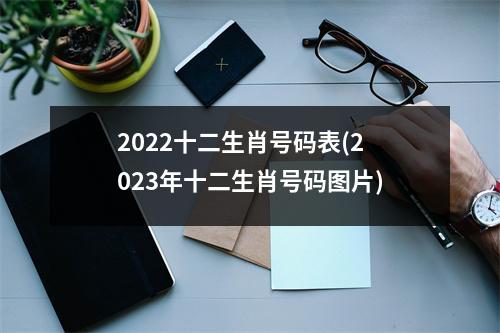 2022十二生肖号码表(2023年十二生肖号码图片)