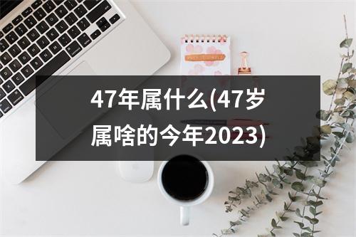 47年属什么(47岁属啥的今年2023)