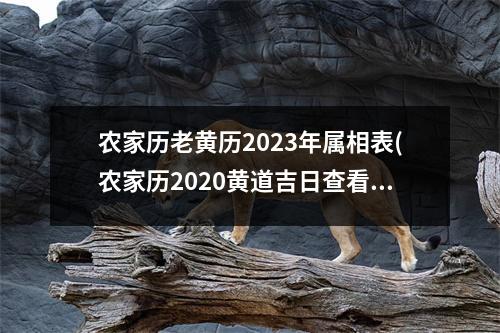 农家历老黄历2023年属相表(农家历2020黄道吉日查看)