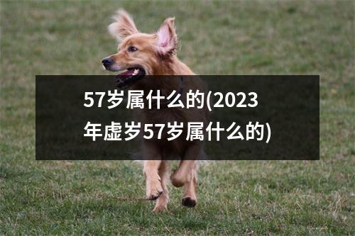 57岁属什么的(2023年虚岁57岁属什么的)