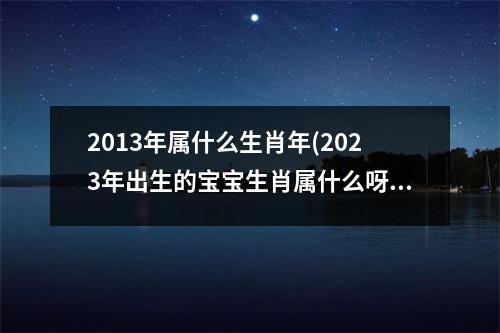 2013年属什么生肖年(2023年出生的宝宝生肖属什么呀)