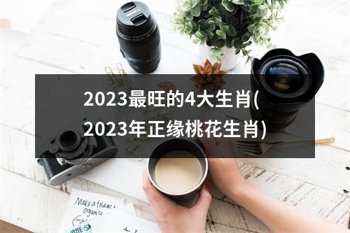 2023旺的4大生肖(2023年正缘桃花生肖)