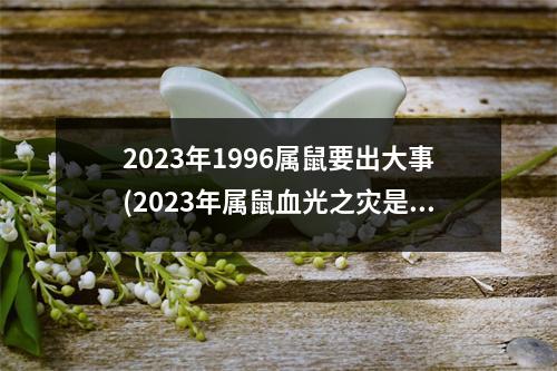 2023年1996属鼠要出大事(2023年属鼠血光之灾是什么)