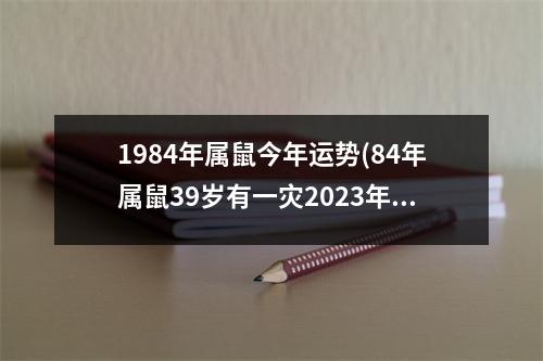 1984年属鼠今年运势(84年属鼠39岁有一灾2023年)