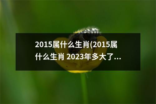 2015属什么生肖(2015属什么生肖 2023年多大了)