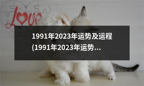 1991年2023年运势及运程(1991年2023年运势及运程每月运程男)