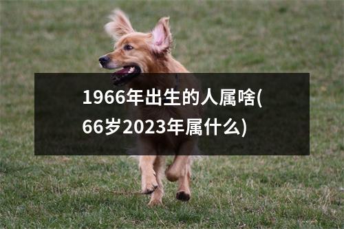 1966年出生的人属啥(66岁2023年属什么)