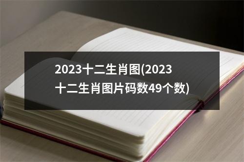 2023十二生肖图(2023十二生肖图片码数49个数)