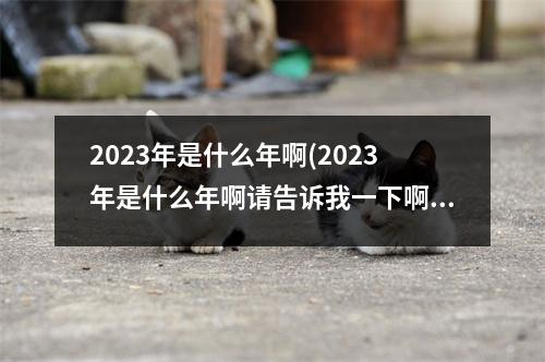 2023年是什么年啊(2023年是什么年啊请告诉我一下啊!)