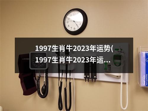 1997生肖牛2023年运势(1997生肖牛2023年运势及运程)