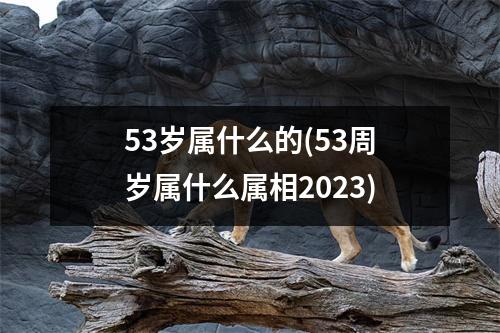 53岁属什么的(53周岁属什么属相2023)