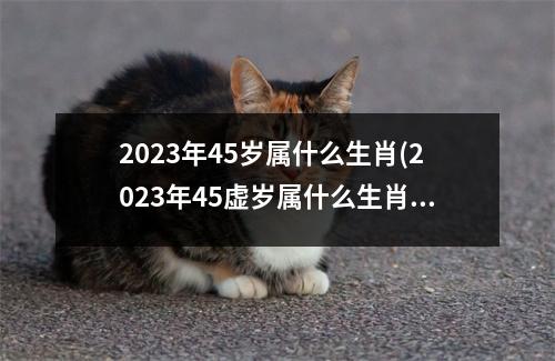 2023年45岁属什么生肖(2023年45虚岁属什么生肖)