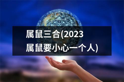 属鼠三合(2023属鼠要小心一个人)