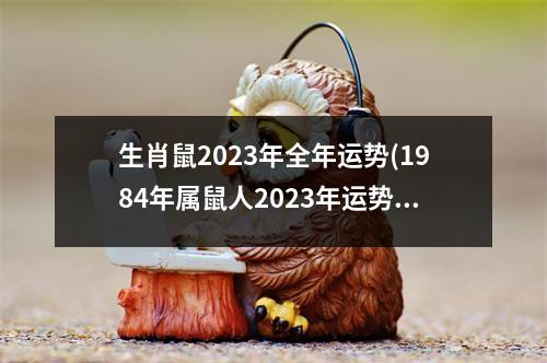 生肖鼠2023年全年运势(1984年属鼠人2023年运势及运程男)