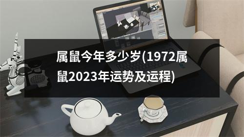 属鼠今年多少岁(1972属鼠2023年运势及运程)