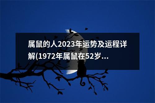 属鼠的人2023年运势及运程详解(1972年属鼠在52岁有一个坎嘛)