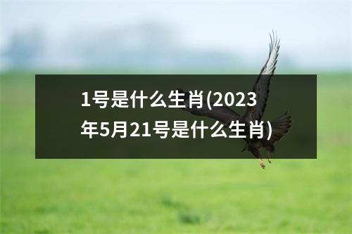 1号是什么生肖(2023年5月21号是什么生肖)