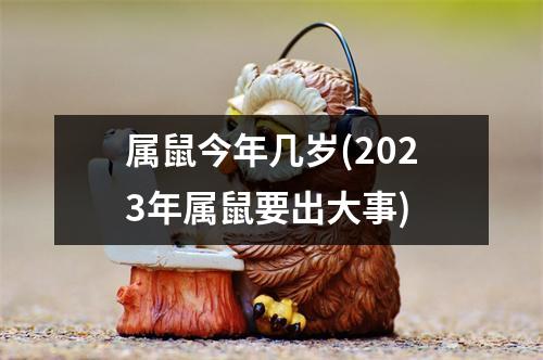 属鼠今年几岁(2023年属鼠要出大事)