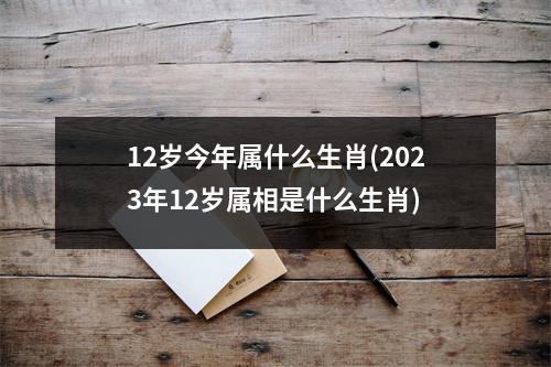 12岁今年属什么生肖(2023年12岁属相是什么生肖)