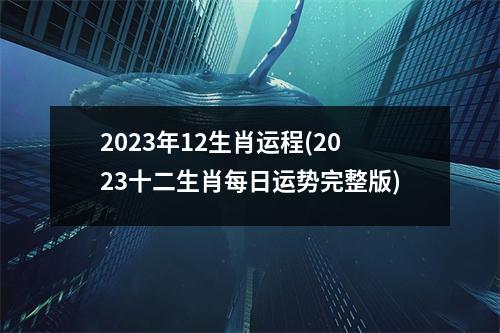 2023年12生肖运程(2023十二生肖每日运势完整版)