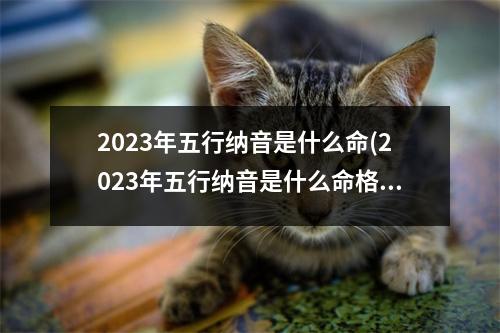 2023年五行纳音是什么命(2023年五行纳音是什么命格)