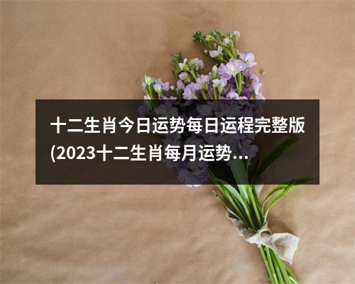 十二生肖今日运势每日运程完整版(2023十二生肖每月运势完整版)