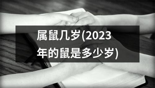 属鼠几岁(2023年的鼠是多少岁)