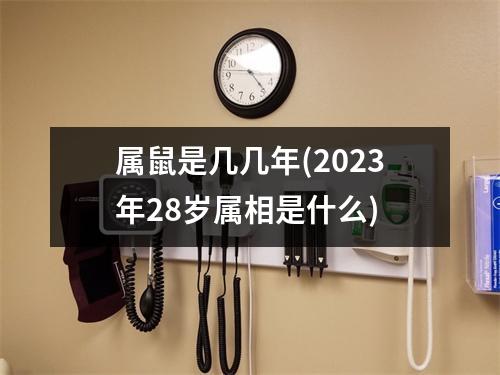 属鼠是几几年(2023年28岁属相是什么)