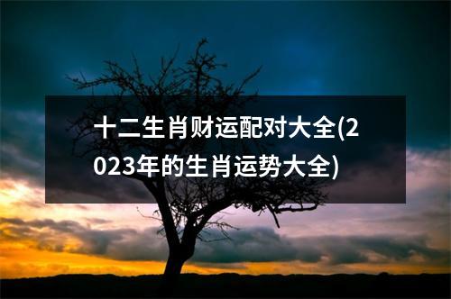 十二生肖财运配对大全(2023年的生肖运势大全)