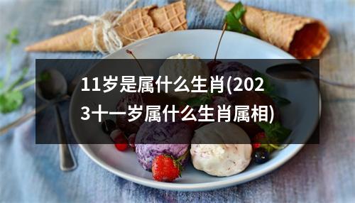 11岁是属什么生肖(2023十一岁属什么生肖属相)