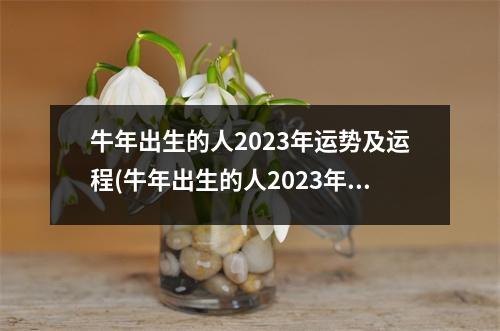 牛年出生的人2023年运势及运程(牛年出生的人2023年运势及运程卜易居)