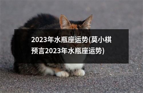 2023年水瓶座运势(莫小棋预言2023年水瓶座运势)